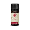 Baldwins Helichrysum (helychrysum Angustifolium) Essential Oil