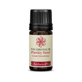 Baldwins Parsley Seed (carum Petroselinum) Essential Oil