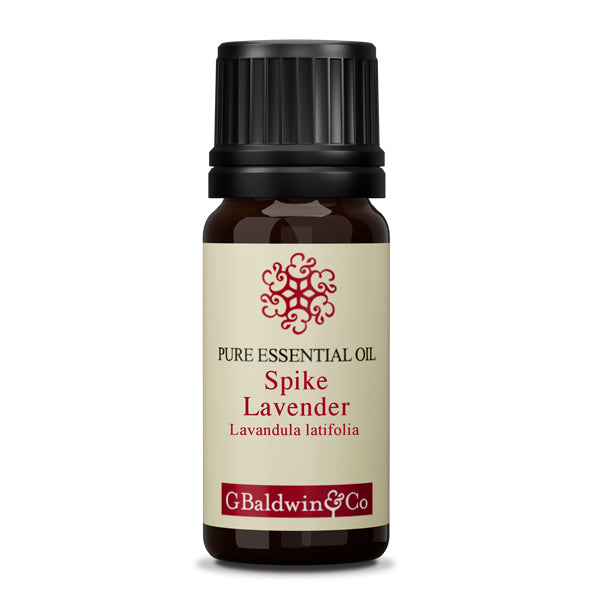 Baldwins Spike Lavender (lavandula Latifolia) Essential Oil