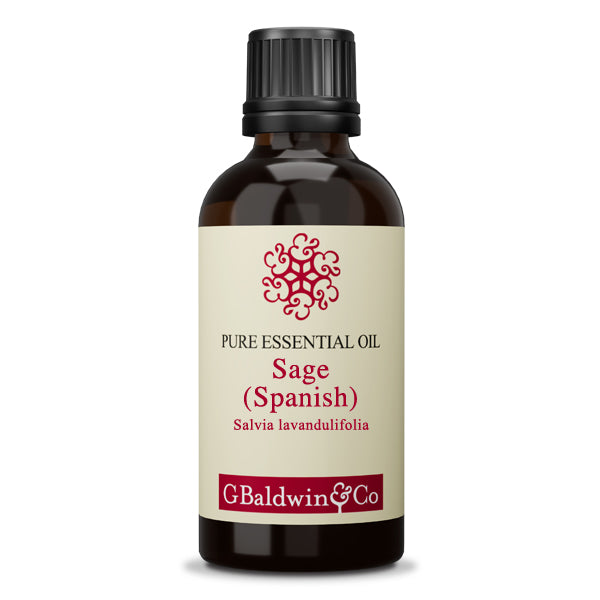 Baldwins Sage (Spanish) Essential Oil ( Salvia lavandulifolia )