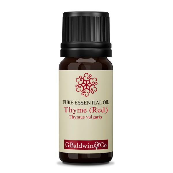Baldwins Thyme (red) (Thymus vulgaris ) Essential Oil