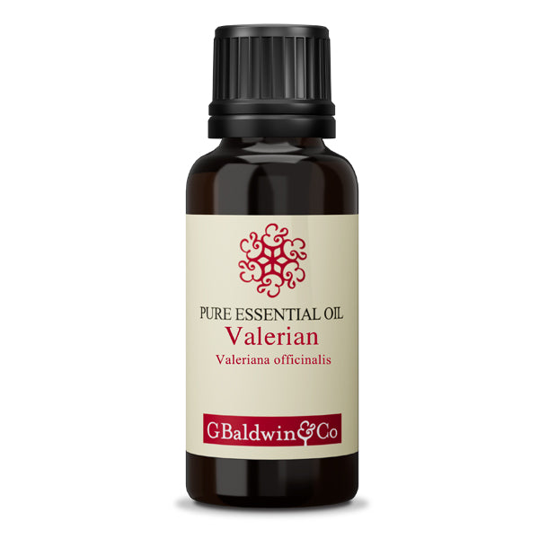 Baldwins Valerian (valeriana Officinalis) Essential Oil