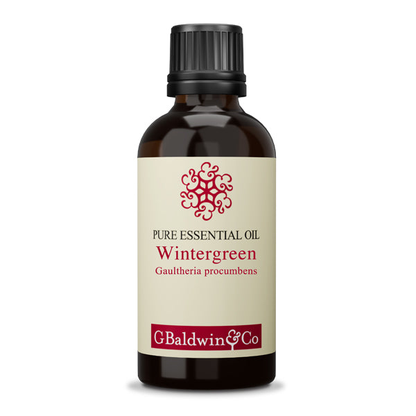 Baldwins Wintergreen (Gaultheria procumbens) Essential Oil