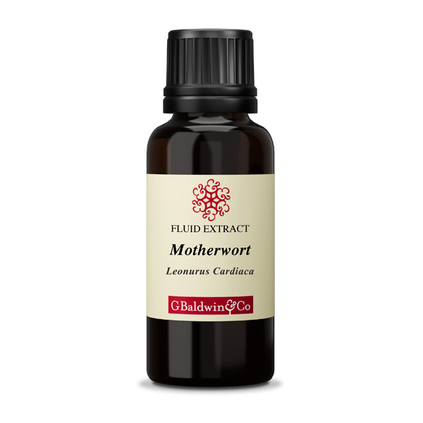 Baldwins Motherwort ( Leonurus Cardiaca ) Herbal Fluid Extract