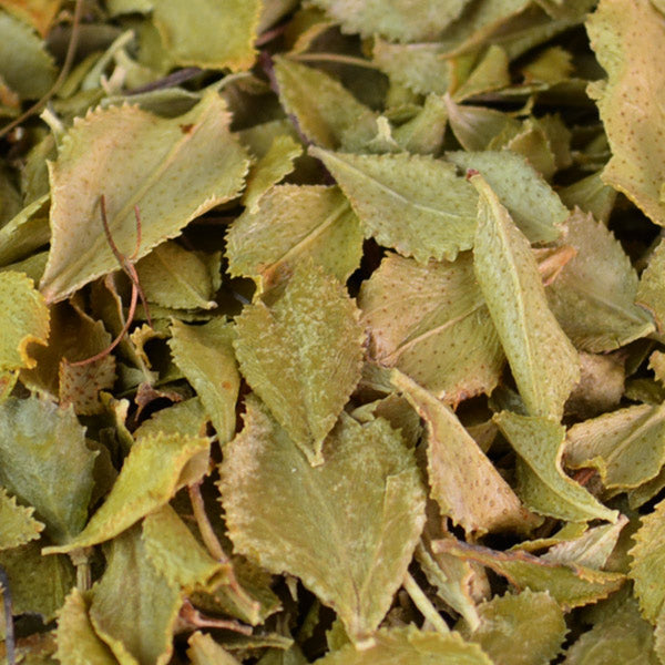 Baldwins Buchu Herb ( Barosama Betulina )