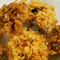 Baldwins Organic Irish Moss Herb ( Chondrus crispus )