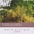 Natur Boutique Organic Moringa Tea 20 sachets