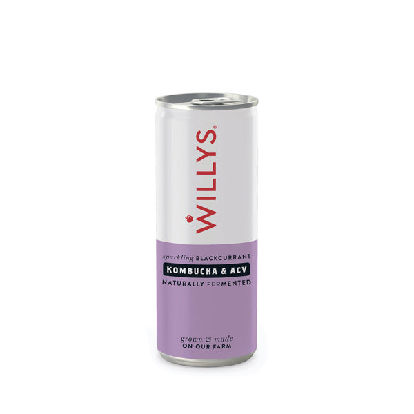 Willy's Blackcurrant Kombucha with ACV 250ml