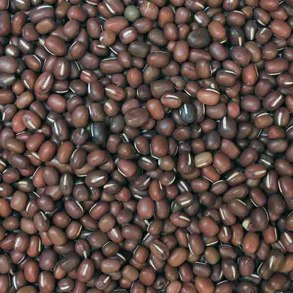 Infinity Foods Organic Aduki Beans