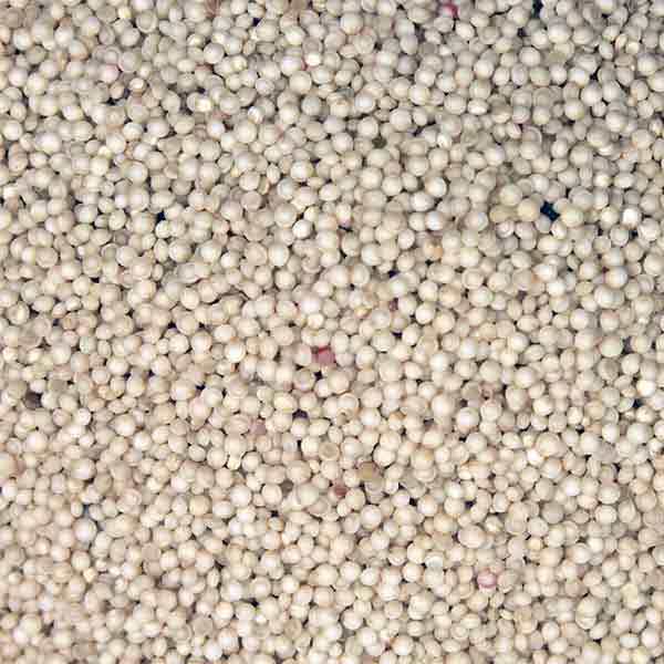 Infinity Foods Organic Amaranth
