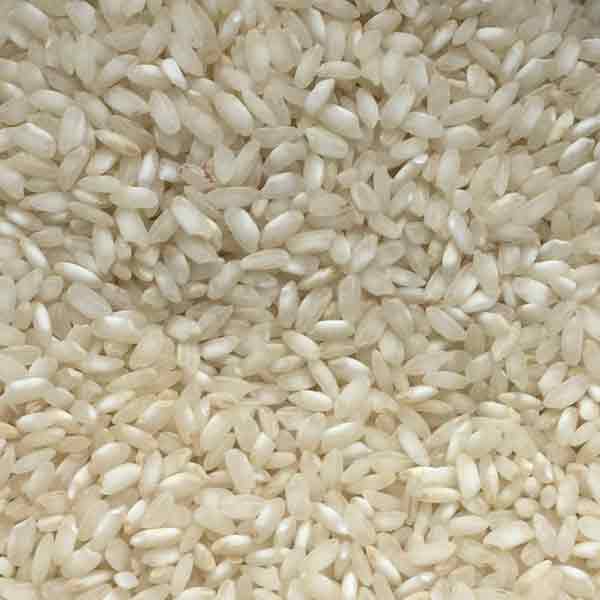 Infinity Foods Organic Arborio (white) Rice