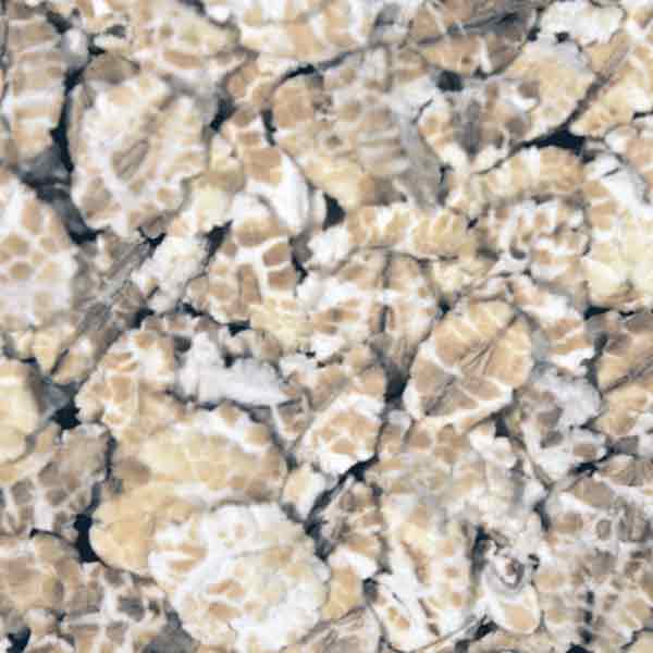 Infinity Foods Organic Barley Flakes