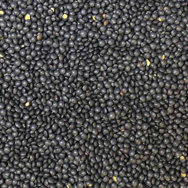 Infinity Foods Organic Beluga Black Lentils 500g