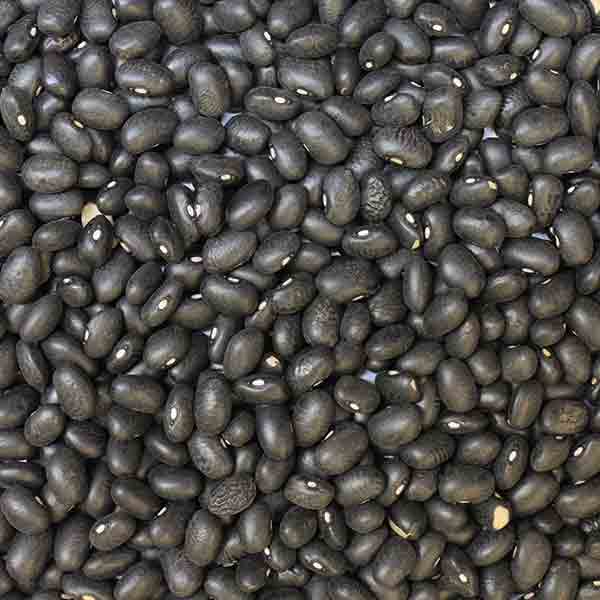 Infinity Foods Organic Black Turtle Beans