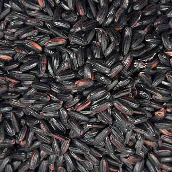 Infinity Foods Organic Black Rice