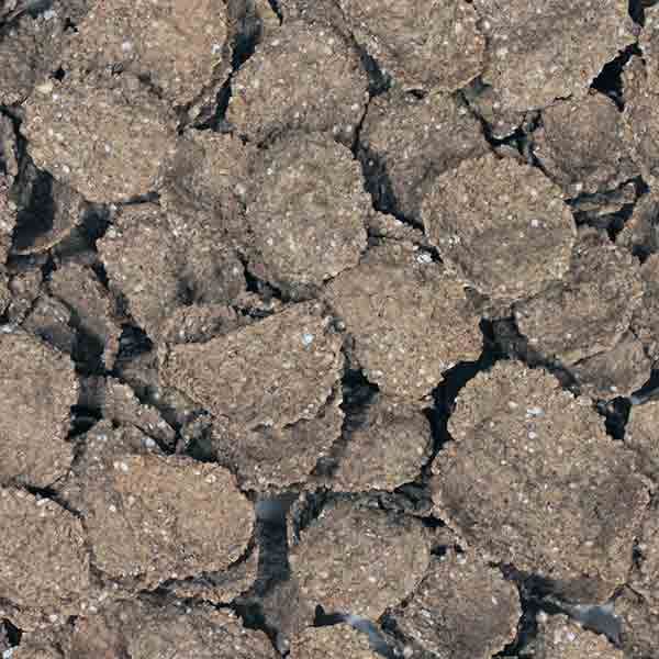 Infinity Foods Organic Bran Flakes