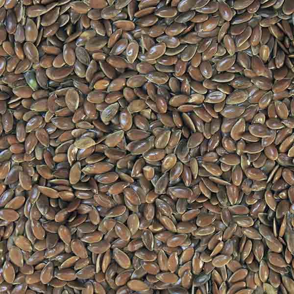 Infinity Foods Organic Brown Linseed