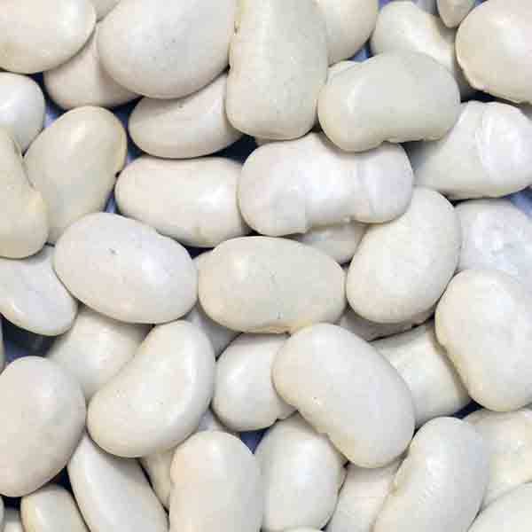 Infinity Foods Organic Butter Beans