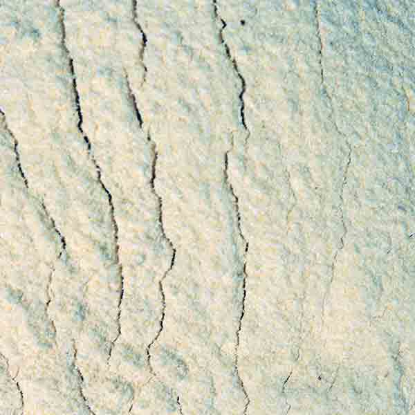 Infinity Foods Organic Corn Flour