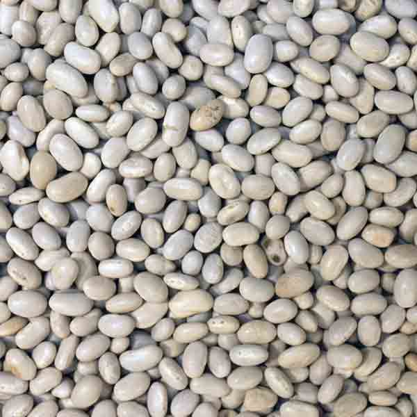 Infinity Foods Organic Haricot Beans