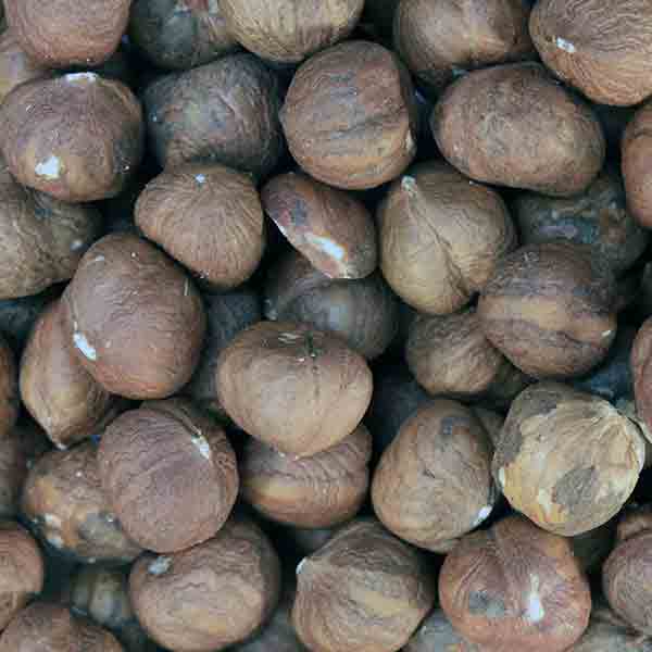 Infinity Foods Organic Hazelnuts