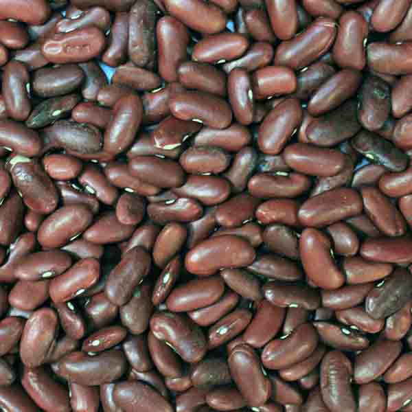 Infinity Foods Organic Red Kidney Beans