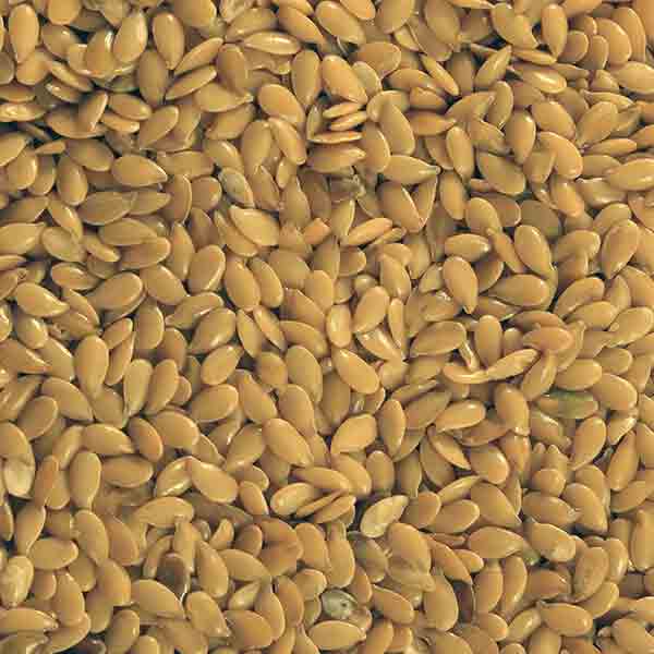 Infinity Foods Organic Linseed Gold