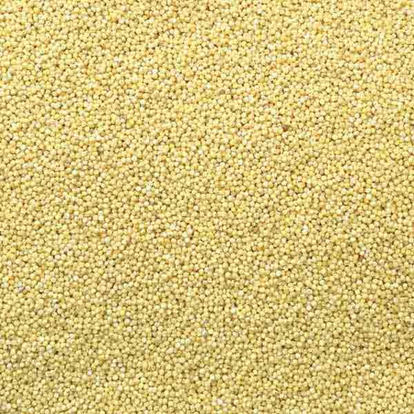 Infinity Foods Organic Millet
