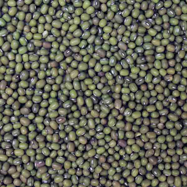 Infinity Foods Organic Mung Beans