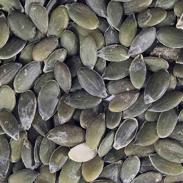 Infinity Foods Non-organic Pumpkin Seeds