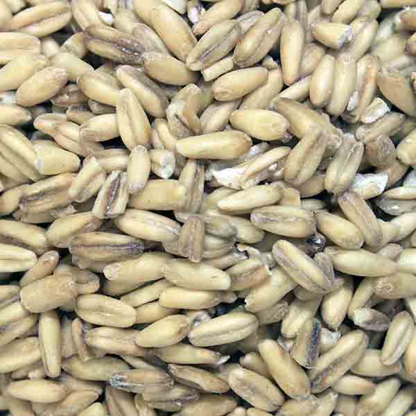 Infinity Foods Organic Oat Groats