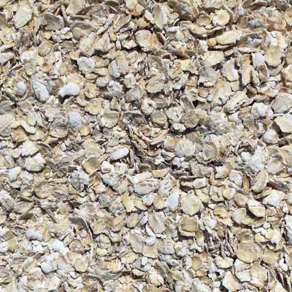 Infinity Foods Organic Porridge Oats