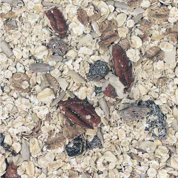 Infinity Foods Organic Cranberry Pecan Muesli 500g