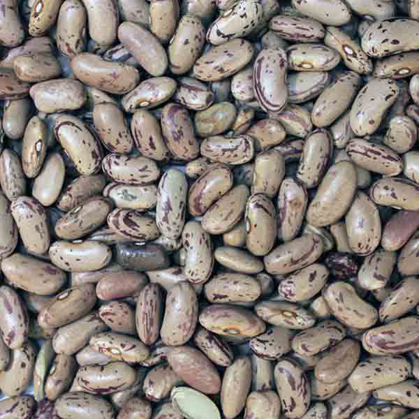 Infinity Foods Organic Pinto Beans
