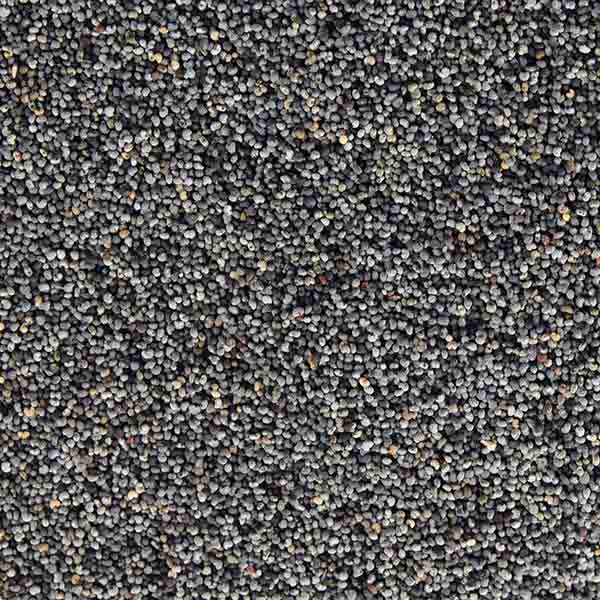 Infinity Foods Organic Poppy Seeds