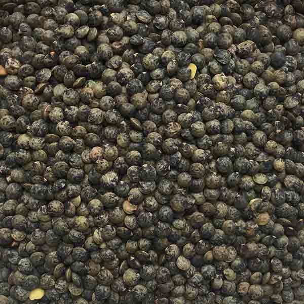 Infinity Foods Organic French Lentils