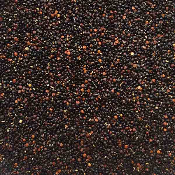 Infinity Foods Organic Black Quinoa 450g