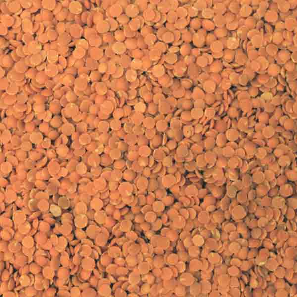 Infinity Foods Organic Red Split Lentils