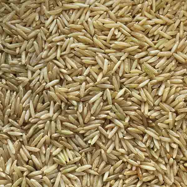 Infinity Foods Organic Brown Rice Long Grain