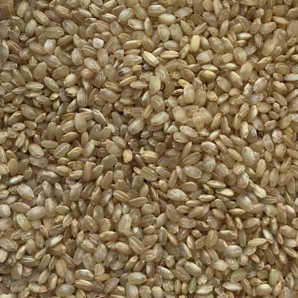 Infinity Foods Organic Brown Rice Short Grain