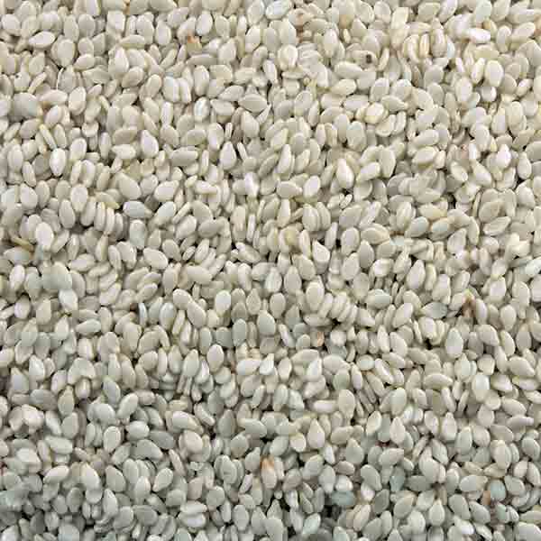 Infinity Foods Organic Sesame Seeds