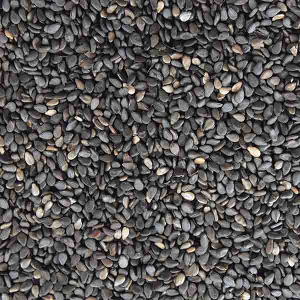 Infinity Foods Organic Black Sesame Seeds