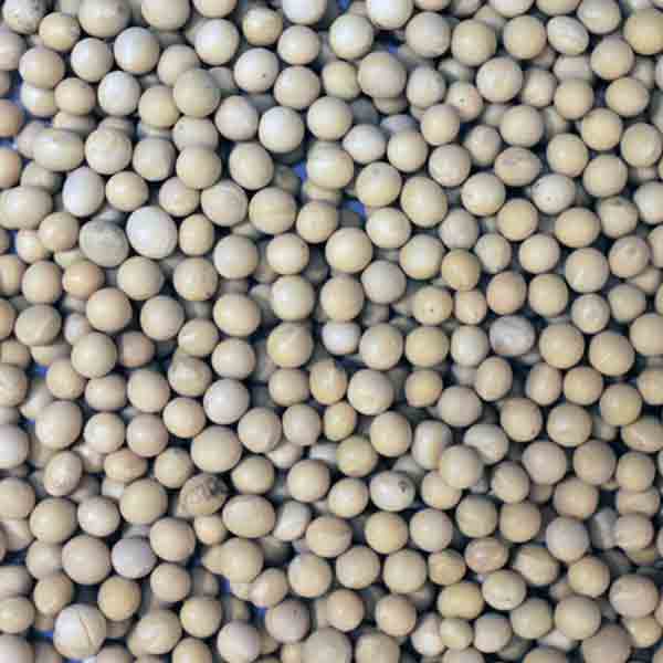 Infinity Foods Organic Soya Beans