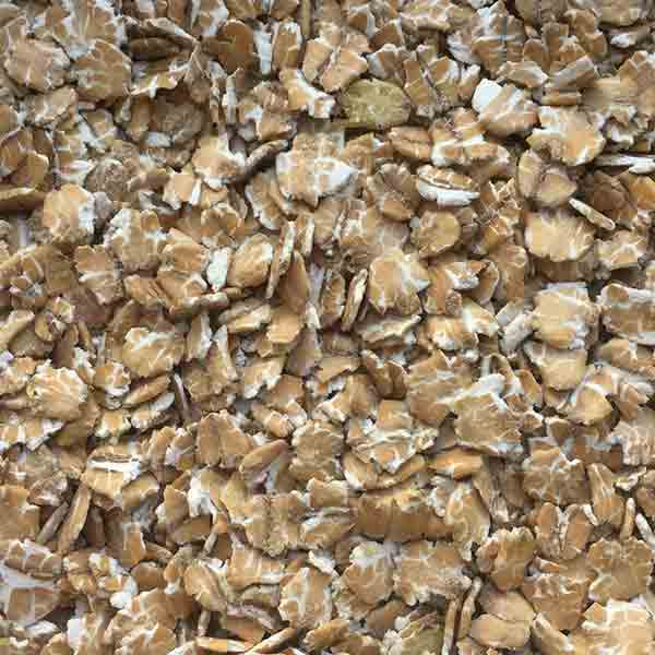 Infinity Foods Organic Spelt Flakes 500g