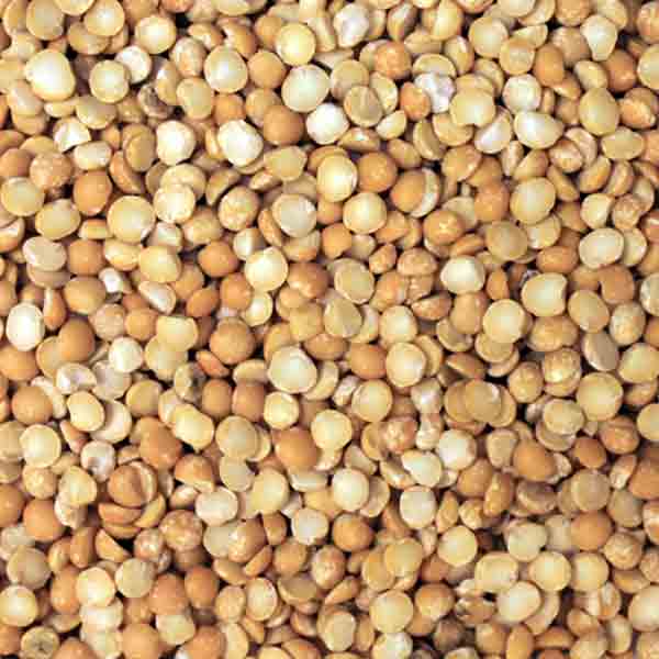 Infinity Foods Organic Yellow Split Peas