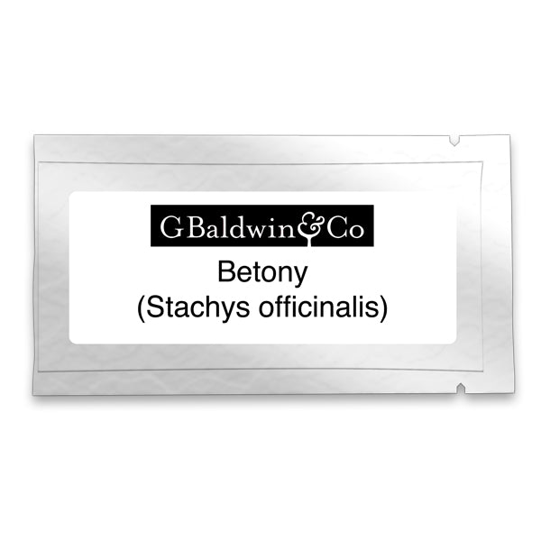 Betony Growing Seeds
