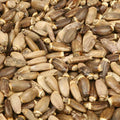 Baldwins Milkthistle Seed ( Silybum Marianum )