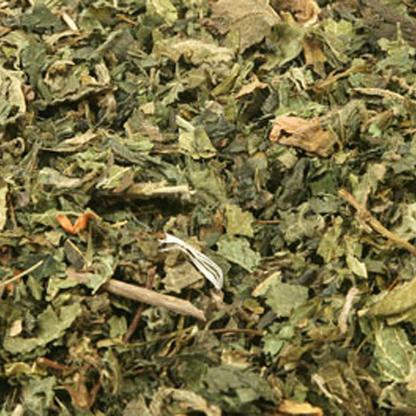 Baldwins Nettle Herb ( Urtica dioica )