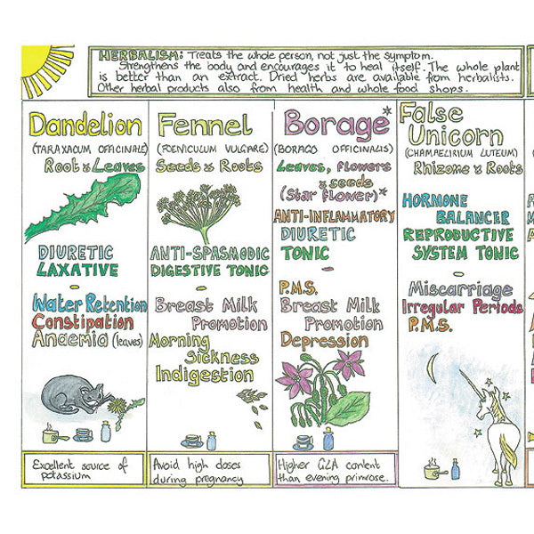 Woman's Healing Herb Chart