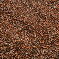 Baldwins Psyllium Seeds Dark ( Plantago Psyllium )